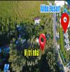 🔥 BÁN NHÀ VIEW BIỂN mặt tiền đường Phạm Văn Đồng gần ALIBU Resort - GIÁ CHỈ 3 TRIỆU/M2 🔥