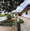 🌿 BÁN NHÀ VƯỜN SIÊU ĐẸP HẺM 51 VÕ THỊ SÁU 🌿  • Diện tích: 18m x 27m (thổ cư 120m²)  • Hư