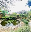 🏡 SIÊU HOT – GIẢM NGAY 5 TỶ ✨ Villa Khu Cô Giang  Một Trong Những Khu Đẹp & Đẳng Cấp Nhất