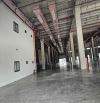 Cho thuê kho xưởng 10.000m2 – 17.000m² KCN Long Hậu, giá : 4.37 USD/m²