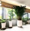BÁN NHÀ KHU ĐẸP - 337 LÊ VĂN SỸ TÂN BÌNH - DT : 7.55X20M , 2 LẦU ĐẸP , GIÁ 26 TỶ