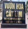 Tái định cư cây lim phường đằng hải Hải An Hải Phòng giá mềm mại