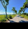 BÁN ĐẤT KHU PHÂN LÔ TĐC NAM KỲ KHỞI NGHĨA HÒA QUÝ- NGŨ HÀNH SƠN - ĐỐI DIỆN LÀ QUY HOẠCH CÔ
