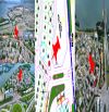 🎉 509 m² - Lô góc  /Ngay đầu cổng Ra/Vào - 20.2m x 22.6 m🍀Khu Biệt thự Đại Phú Gia