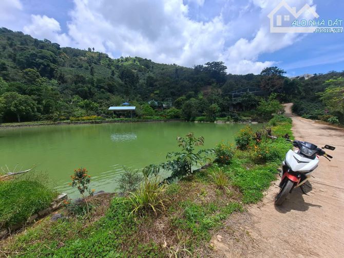 Cần bán Lô Đất khu Vực Trạm Hành , P. Xuân Trường view đẹp