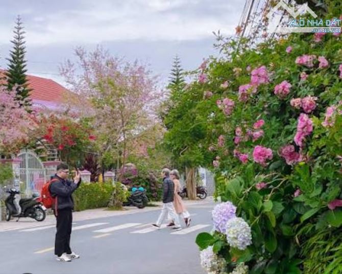 VILLA CÔ GIANG KHU ĐÁNG SỐNG BẬC NHẤT ĐÀ LẠT - 7