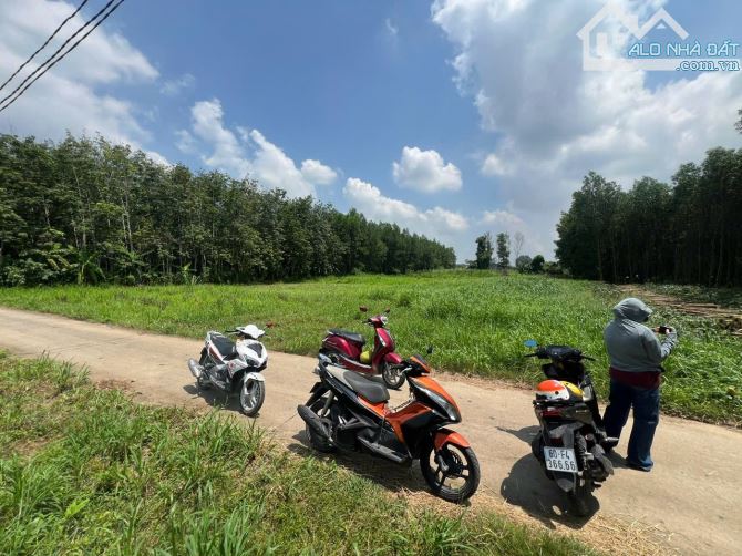 Bán đất view sông Đồng Nai Bình Lợi
