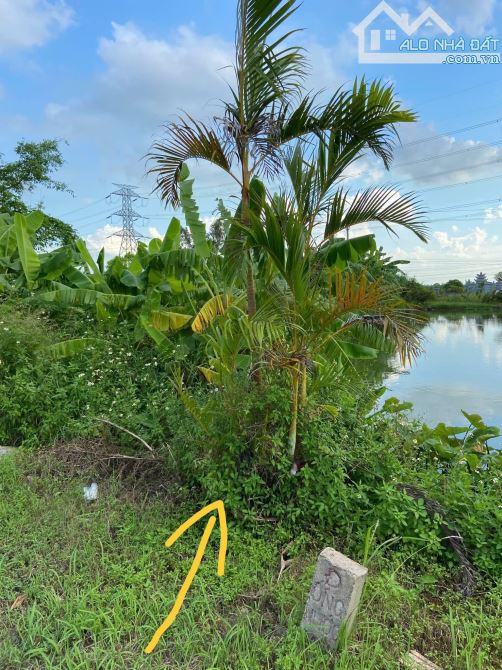 💥💥 BÁN LÔ ĐẤT ĐẸP XÃ HỒNG LĨNH HƯNG HÀ TRỤC ĐƯỜNG QL 39B Dtich 100m2 , Mt 4,5m Giá 2,5 t