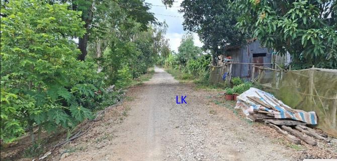 🔰 Bán đất lúa:  131.000m² (Mặt tiền 145m) 🔰 Đường bờ xáng lớn, xã Tân Công Sính