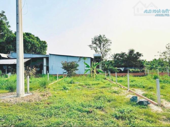 🔥 BÁN ĐẤT GIÁ RẺ – TÂN AN HỘI, CỦ CHI 🔥GIÁ 540 TRIỆU