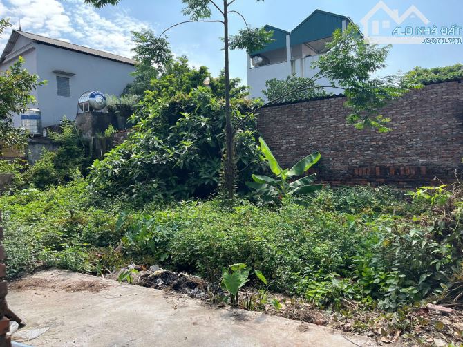 🏡  CẦN BÁN GẤP LÔ ĐẤT GIAO TẤT A - KIM SƠN – GIÁ TỐT 🏡
