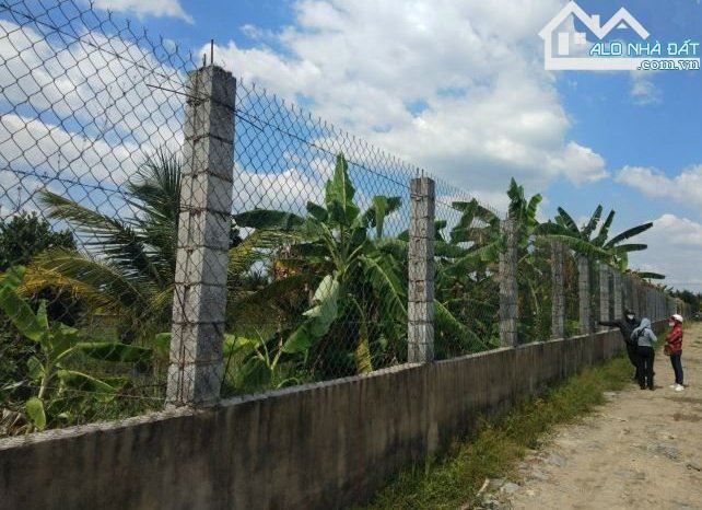 . 🔥 CHÍNH CHỦ KẸT TIỀN CẦN BÁN GẤP LÔ ĐẤT SIÊU RỘNG – GIÁ CỰC MỀM.
