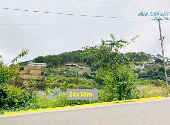 Bán Đất Biệt Thự View Rừng Thông – Xã Xuân Thọ (Phường Xuân Trường), TP. Đà Lạt