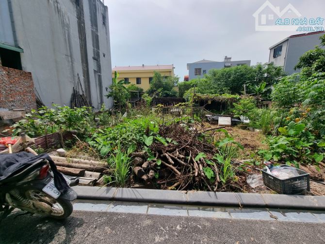 BÁN GẤP! Đất 60m² Uy Nỗ, Đông Anh – Sổ đẹp, nở hậu, chỉ 5.2 tỷ