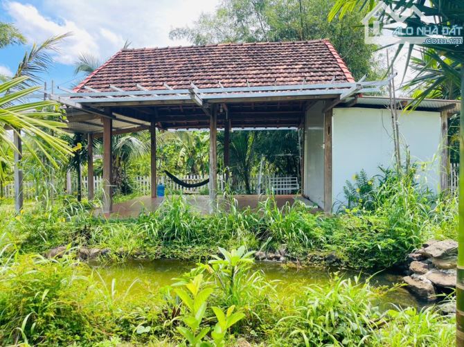 NHÀ VƯỜN VIEW SUỐI NGOẠI Ô BUÔN MA THUỘT THÔN 6 XÃ HOÀ KHÁNH - Loctran