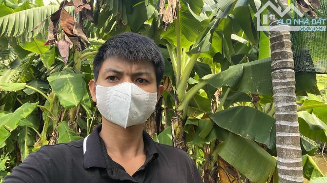 BÁN ĐẤT TRÁNG VIỆT – GIẢM HƠN 200 TRIỆU – GIÁ LẠNH QUANH 2 TỶ