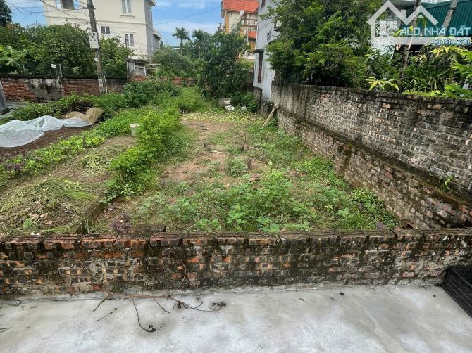 🔥 BÁN ĐẤT 42m² – LỘC HÀ, MAI LÂM, ĐÔNG ANH 🔥