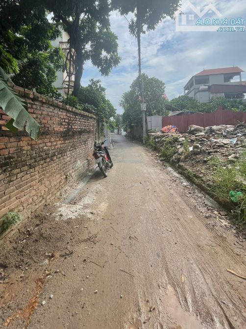Bán đất 30,1m² chỉ 2.X Tỷ– Thôn Phúc Thọ, Mai Lâm, Đông Anh – Đầu tư và an cư. - 1