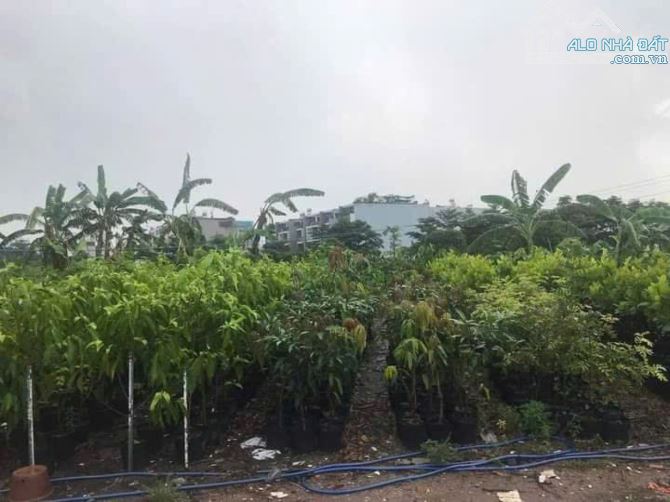 ⭐️Đất đầu tư GD View sông – Phan Huy Ích Gò Vấp