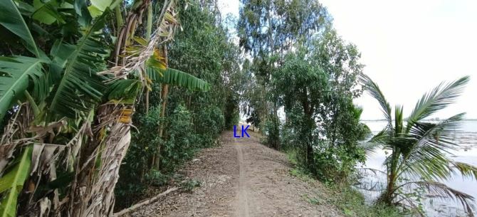 🔰 Bán đất lúa:  18.500m² (37m x 500m) 🔰 Đường đất xe máy, xã Hưng Thạnh, Tháp Mười cũ