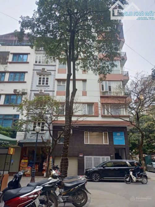 Nhà mặt phố lớn Đặng Thùy Trâm Phạm Tuấn Tài, ô tô tránh, thang máy, KD đỉnh, 79m²*5T giá