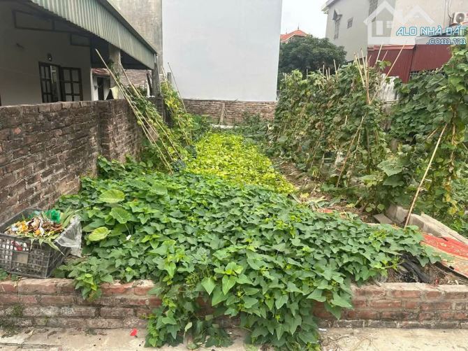 ĐẤT ĐÔNG MỸ - THANH TRÌ - VỊ TRÍ ĐẸP - Ô TÔ TRÁNH - GIÁ CỰC TỐT
