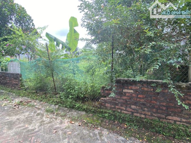 💥Bán 227m MT 7m Vụ Bản Minh Trí Sóc Sơn (Kim Anh Hà Nội) Ô tô vào đất