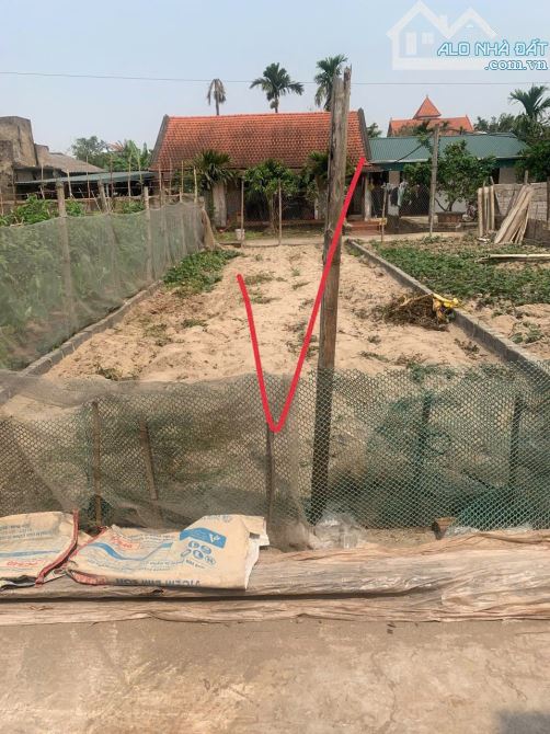 💥 Siêu phẩm xóm 2 chương dương Thường Tín HN - Đất Siêu hiếm  **DT: 59,6m  **MT = hậu 4,1