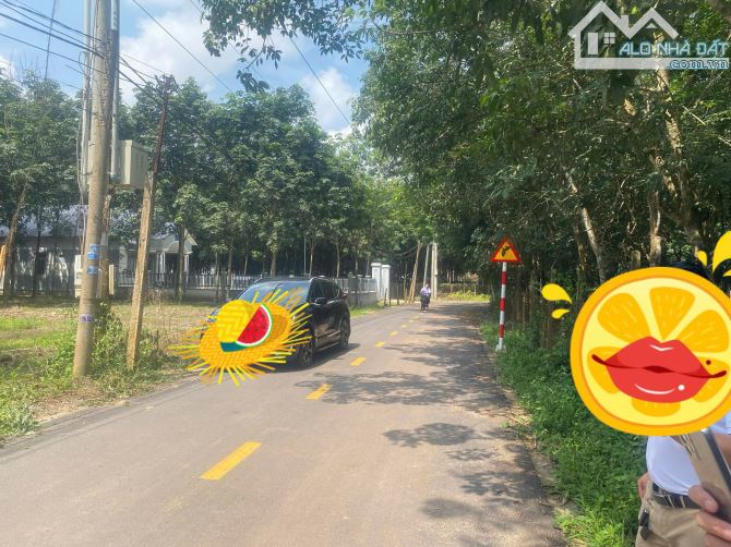 Cần bán gấp đất TP. Hồ Chí Minh 1706 m2 đất thổ vườn gần đường nhựa DH507 giá ngộp.
