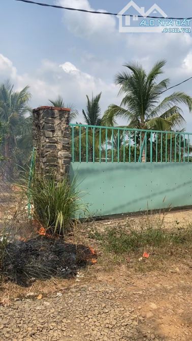 🌳 BÁN MẢNH VƯỜN TRỒNG CÂY ĂN TRÁI 500m2 – TRỊ AN ĐỒNG NAI 🌳