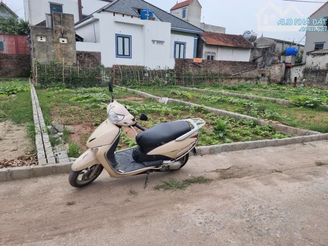❌❌Siêu phẩm  Đất Quất Lâm - Quất Động - Thường Tín - HN