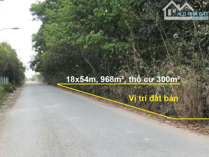 Bán Đất Mặt Tiền Đường Nguyễn Thị Châu – Phú Hòa Đông, Củ Chi – 968m², 18x54m, 6.5 Tỷ