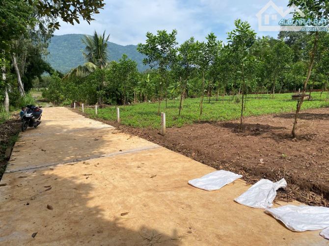 BÁN ĐẤT XUÂN TRƯỜNG XUÂN LỘC ĐỒNG NAI