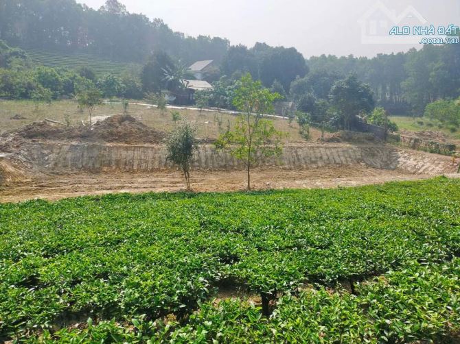 Cần bán đất nghỉ dưỡng Cao Dương, Hòa Bình: