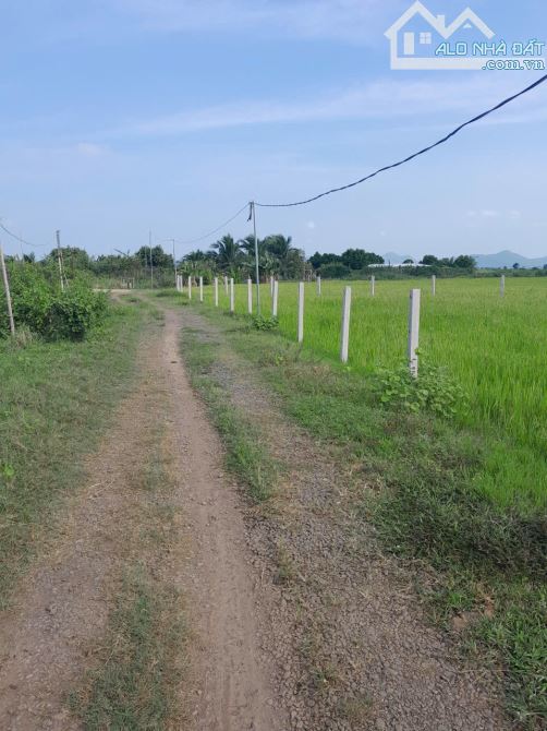 ___Cần ra gấp 3.689m2 đất (Gần  3.7 sào ) thuộc P. Tam Long TPHCM:(Long Phước Bà Rịa Vũng