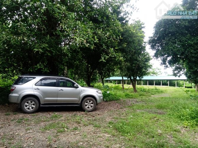Cho thuê hơn 2ha đất trang trại, kho xưởng gần hồ Kỳ Viên xã Trần Phú, Chương Mỹ, Hà Nội. - 6