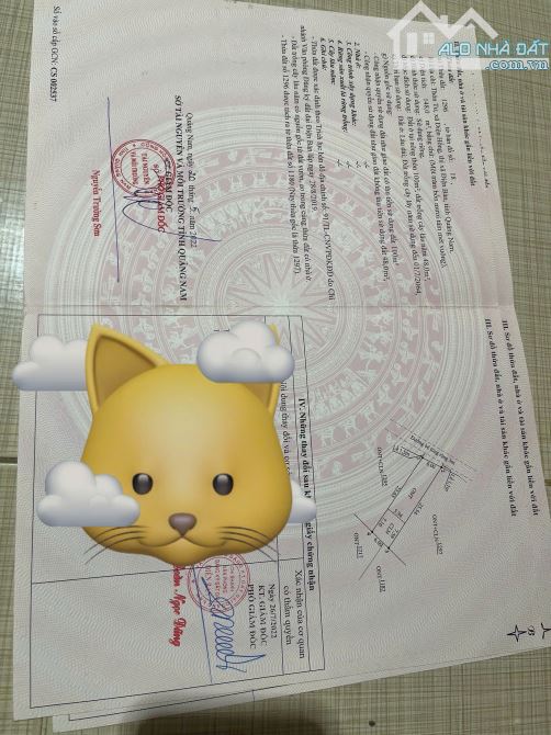 📌📌📌LÀM VIỆC TRỰC TIẾP GIÁ TỐT !!!bán 2 lô đất xã điện bàn tây
