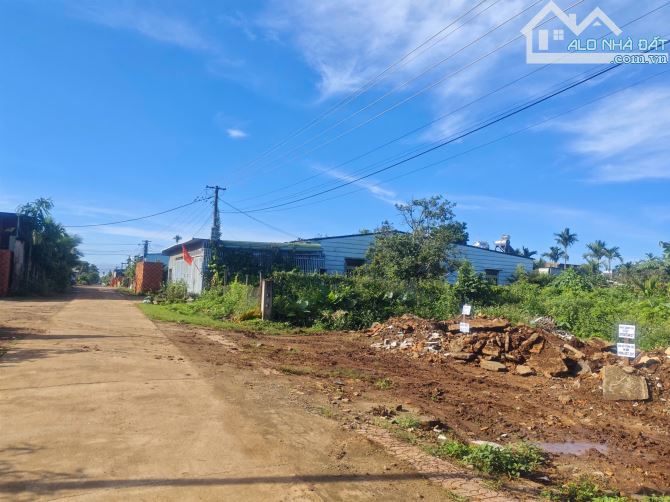 BÁN ĐẤT GIÁ TỐT – ĐƯỜNG D1, PHƯỜNG TÂN AN (XÃ EA TU CŨ)