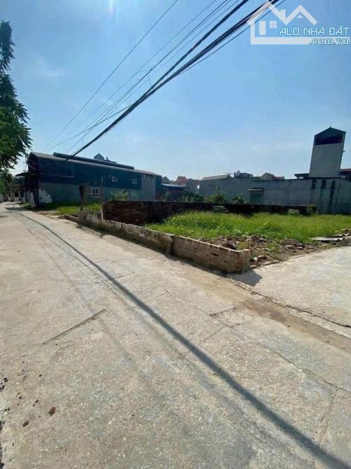 🔥 SIÊU PHẨM ĐẤT HOÀI ĐỨC – VỊ TRÍ VÀNG – LÔ GÓC – NỞ HẬU 🔥