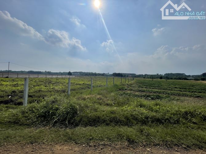 ___Cần ra gấp 3.689m2 đất (Gần  3.7 sào ) thuộc P. Tam Long TPHCM:(Long Phước Bà Rịa Vũng - 10