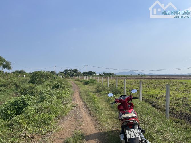 ___Cần ra gấp 3.689m2 đất (Gần  3.7 sào ) thuộc P. Tam Long TPHCM:(Long Phước Bà Rịa Vũng - 11