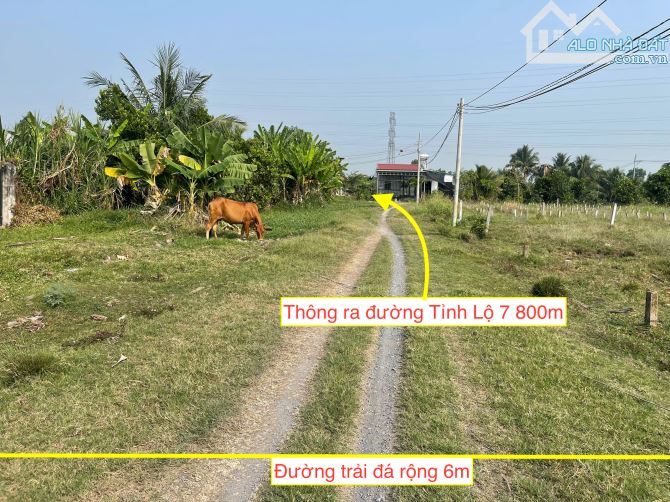 Bán đất xã TLH Củ Chi 5x27 thổ cư. Giá bán 1 tỷ 100 triệu có bớt. - 1