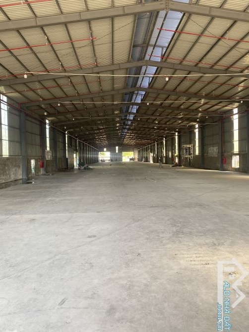 CHO THUÊ KHO XƯỞNG 600M2 - 1600M2 - 2500M2 TRẦN THỦ ĐỘ - ĐIỆN BÀN - QUẢNG NAM - 3