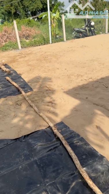 Cần bán lô đất đường Trần Quang Quờn, Bình Khánh, Cần Giờ - 1