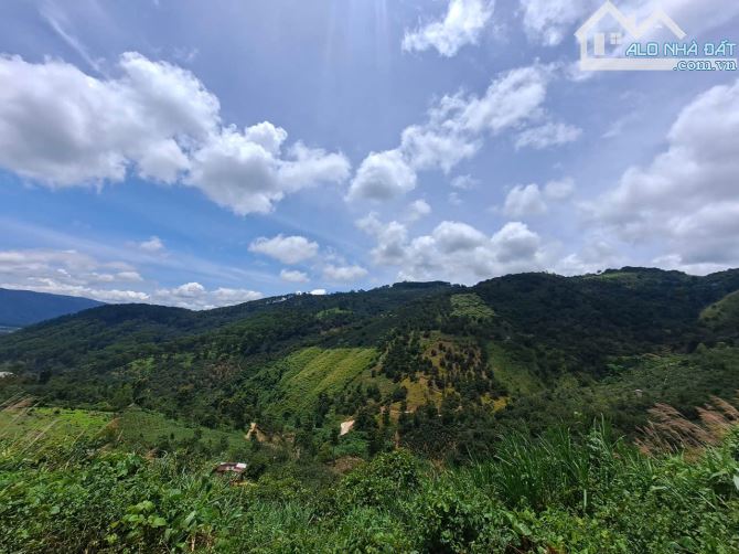 Cần bán Lô Đất khu Vực Trạm Hành , P. Xuân Trường view đẹp - 1