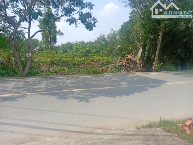 Bán đất mặt tiền đường tâm thôn hiệp  khu an nghĩa DT 4356 m2 - 1