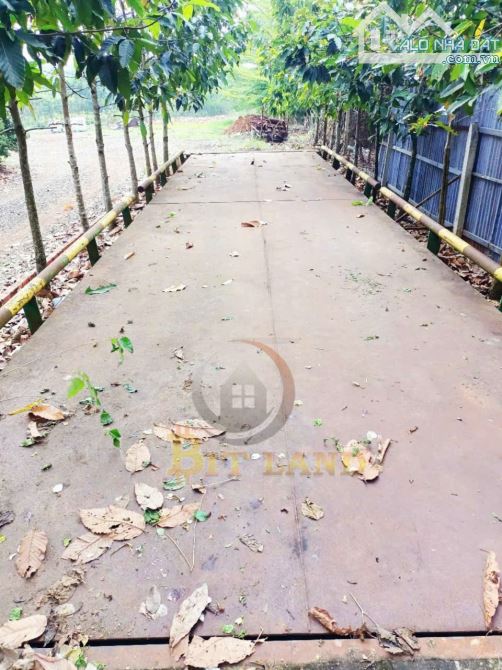 Cho Thuê Nhà Xưởng Sản Xuất Đông Hòa Trảng Bom ĐỒNG NAI 2300m2 - 1