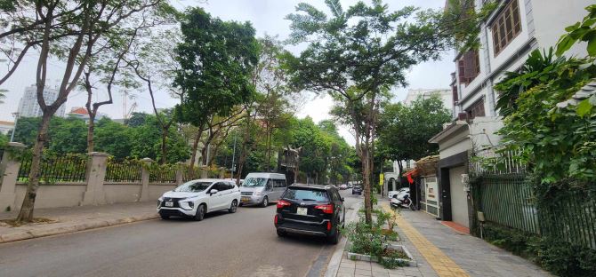 CẦN BÁN BIỆT THỰ THÀNH THÁI GẦN CÔNG VIÊN CẦU GIẤY, 268M2 RẺ NHẤT CẦU GIẤY - 1