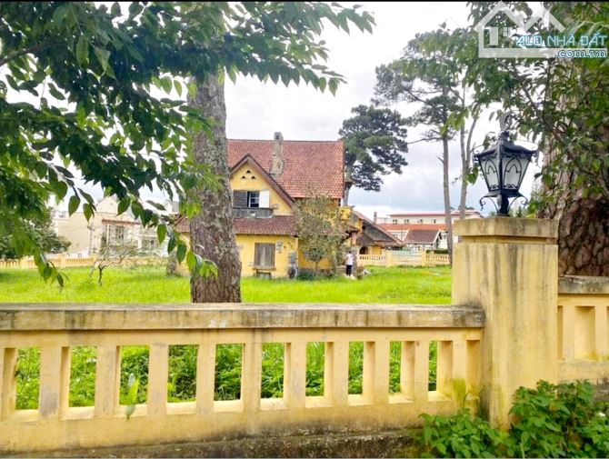 VILLA CÔ GIANG KHU ĐÁNG SỐNG BẬC NHẤT ĐÀ LẠT - 1