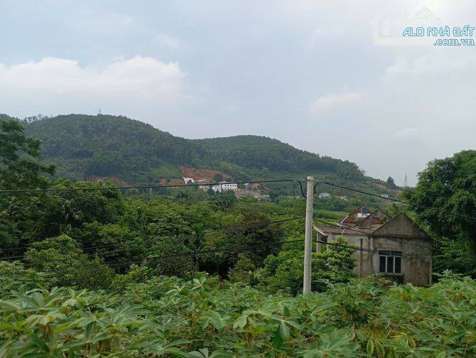 Bán đất Ao vua, Tản Lĩnh, Ba Vì, 4380m, đường nhựa rộng, view cao, mt lớn, 25.2tỷ - 1